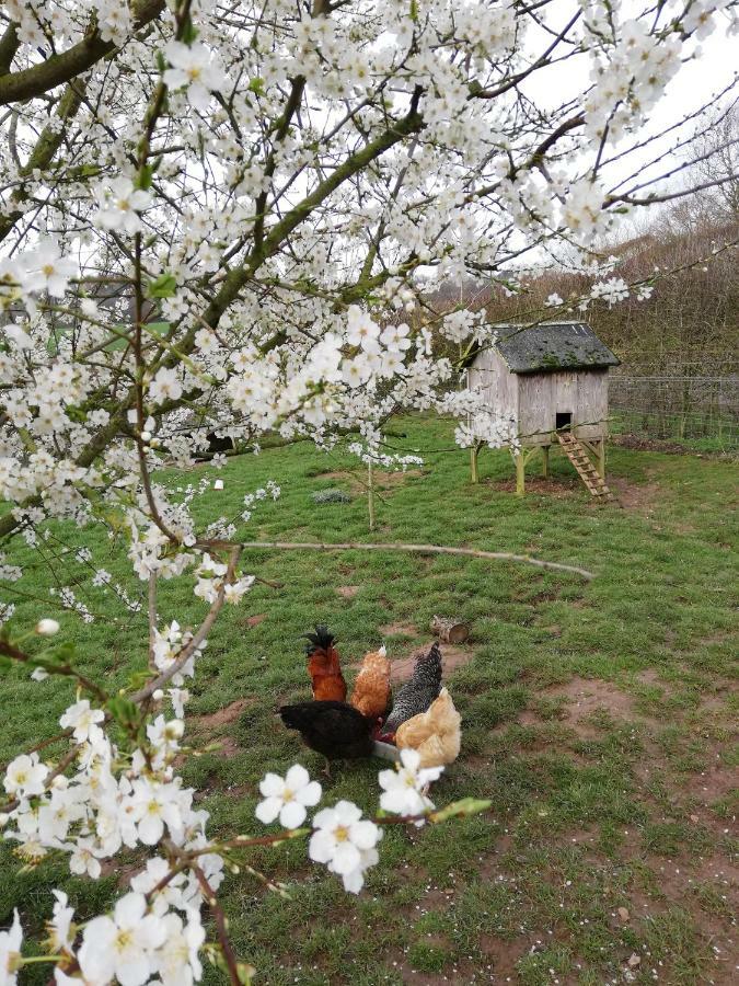Вилла Odle Farm Гонитон Экстерьер фото